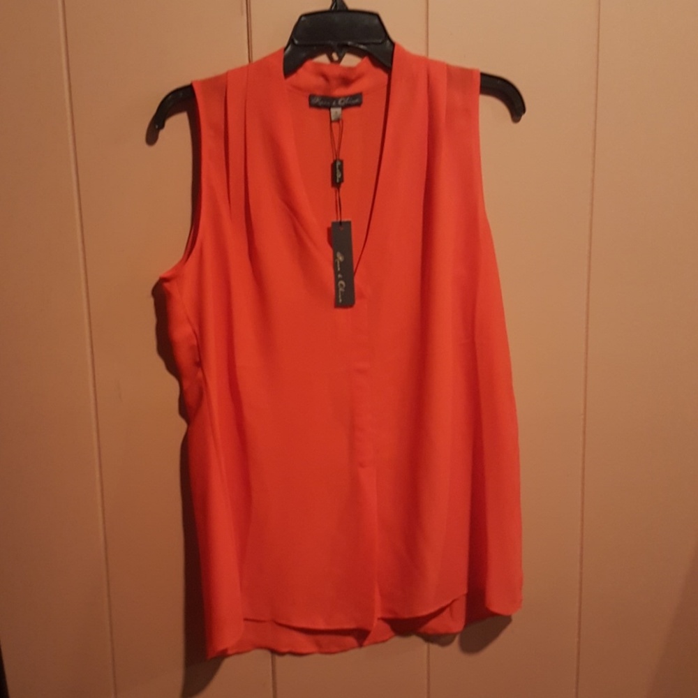 Rose & Olive NWT top